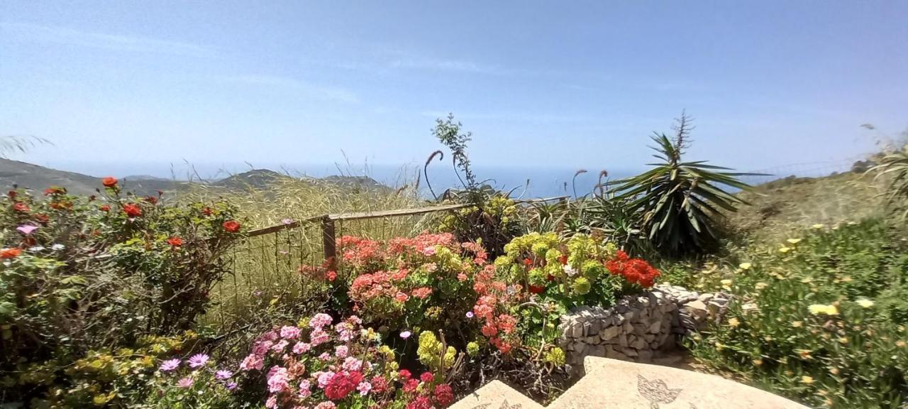 Finca Mariposa Mariposaholidays Nerja Exterior photo